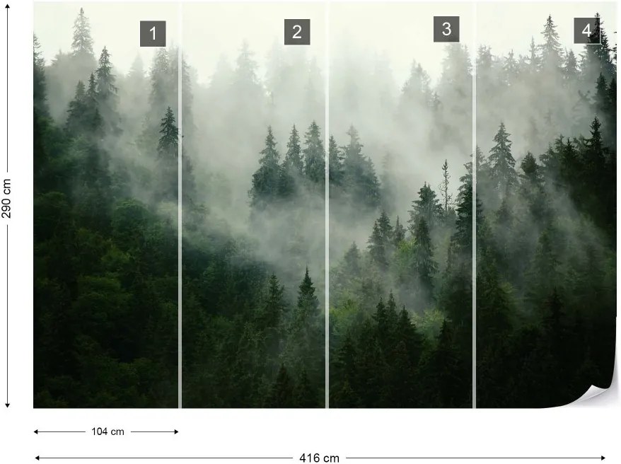 Fototapeta GLIX - Misty Forest + lepidlo ZADARMO Vliesová tapeta  - 416x290 cm