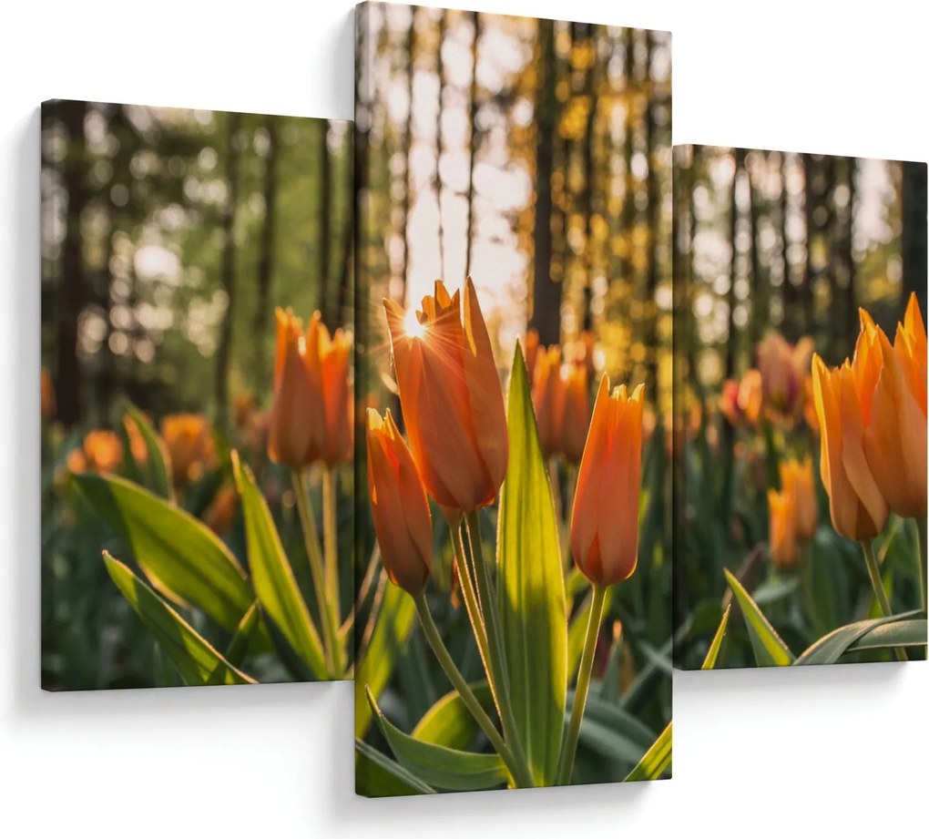 Obraz - oranžové tulipány (90x60 cm)