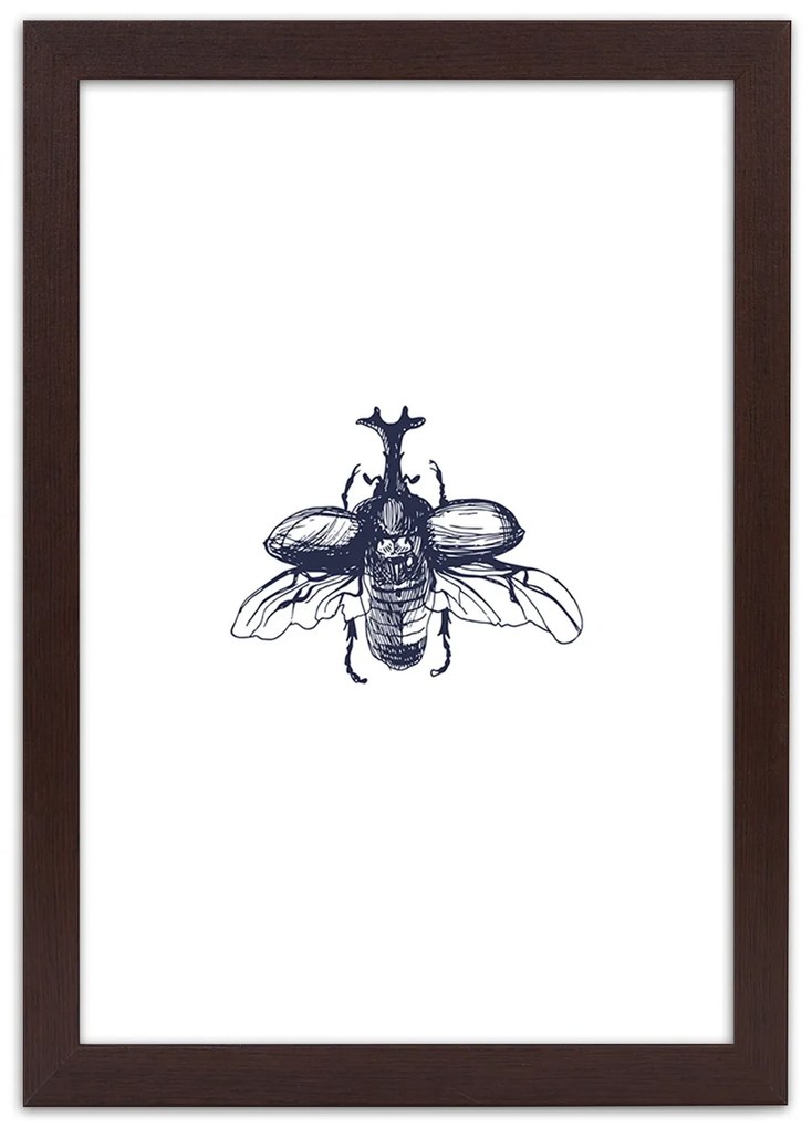 Gario Plagát Lietajúci chrobák Farba rámu: Bez rámu, Rozmery: 70 x 100 cm