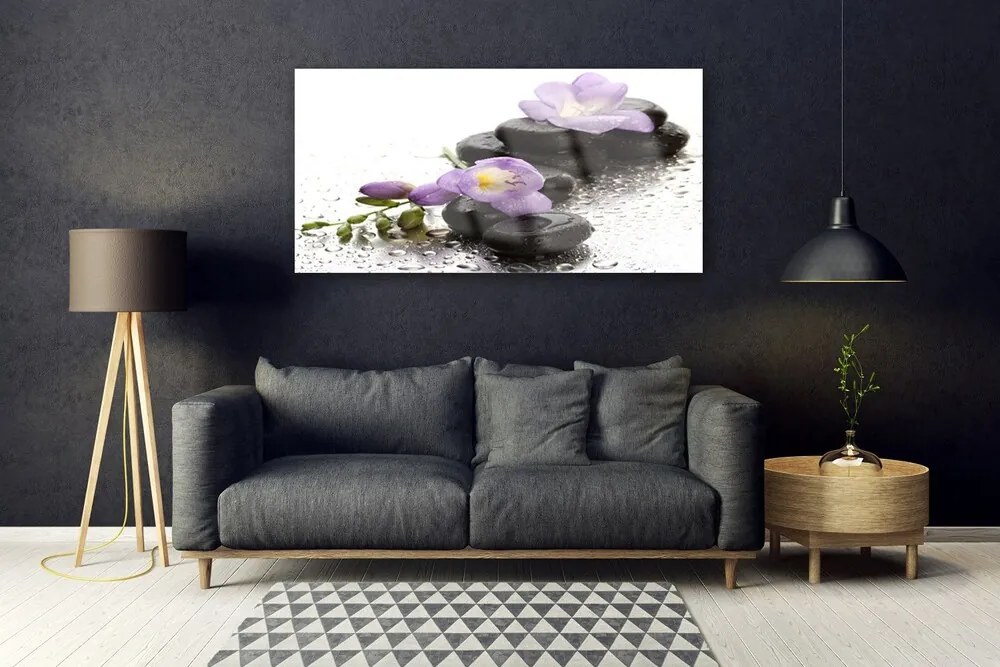 Obraz plexi Kvet kamene umenie 120x60 cm