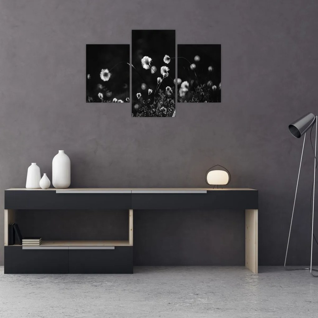 Obraz - Lúka s cottongrass N⁰1 (90x60 cm)