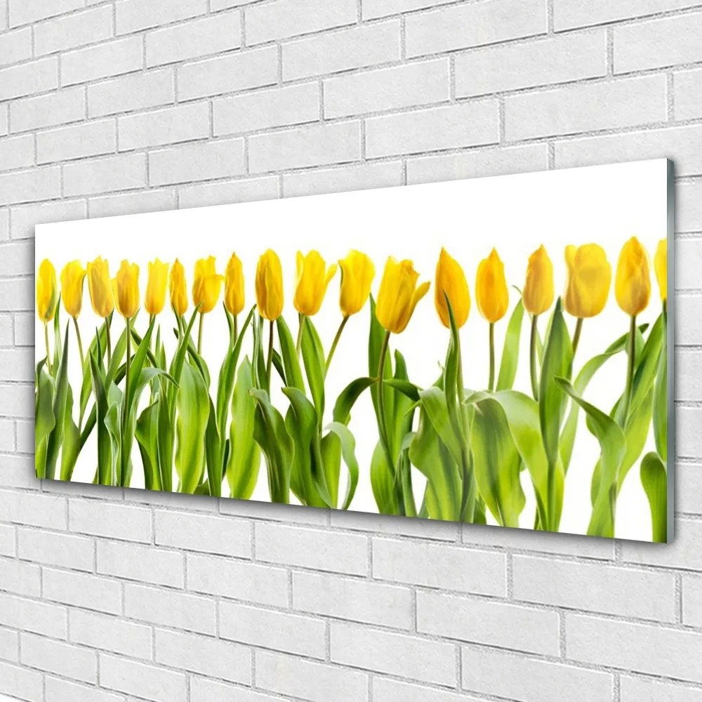 Obraz plexi Tulipány kvety príroda 125x50 cm