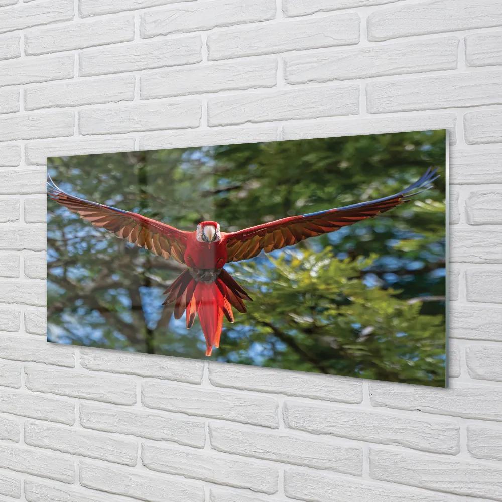 Nástenný panel  ara papagáj 125x50 cm