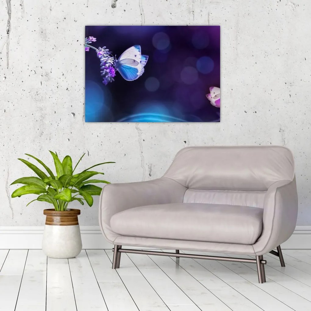 Sklenený obraz - Motýle na levanduli (70x50 cm)