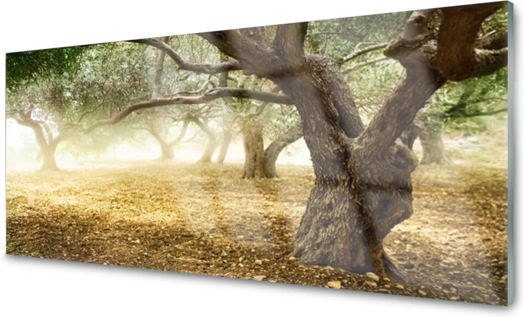 Obraz na akrylátovom skle Strom Tráva Príroda