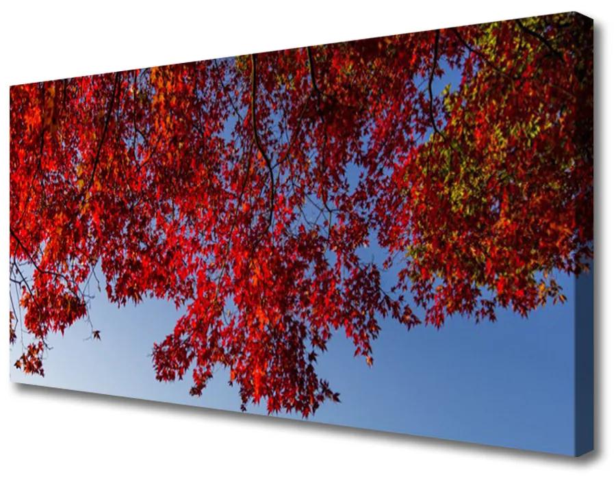 Obraz Canvas Strom listy vetvy príroda 100x50 cm