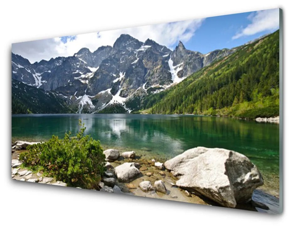 Obraz plexi Jazero hory príroda 100x50cm
