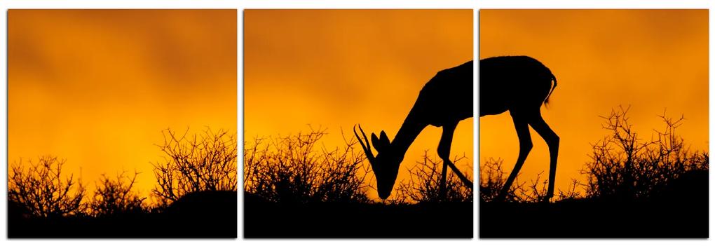 Obraz na plátne - Antilopa skákavá silueta - panoráma 5913B (120x40 cm)