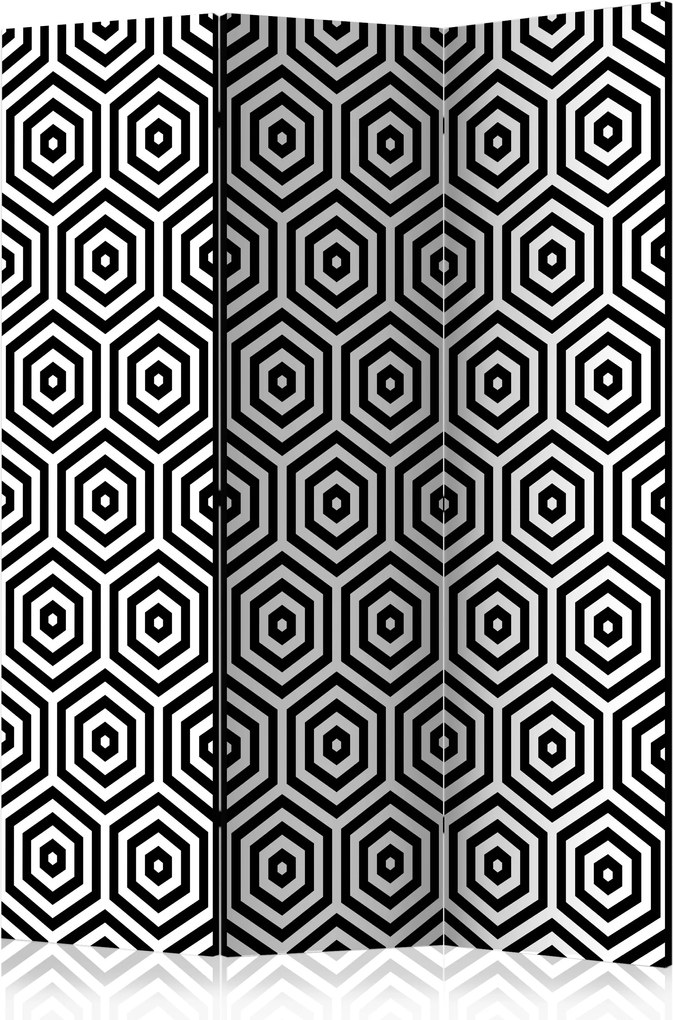 Paraván - Black and White Hypnosis [Room Dividers] 135x172