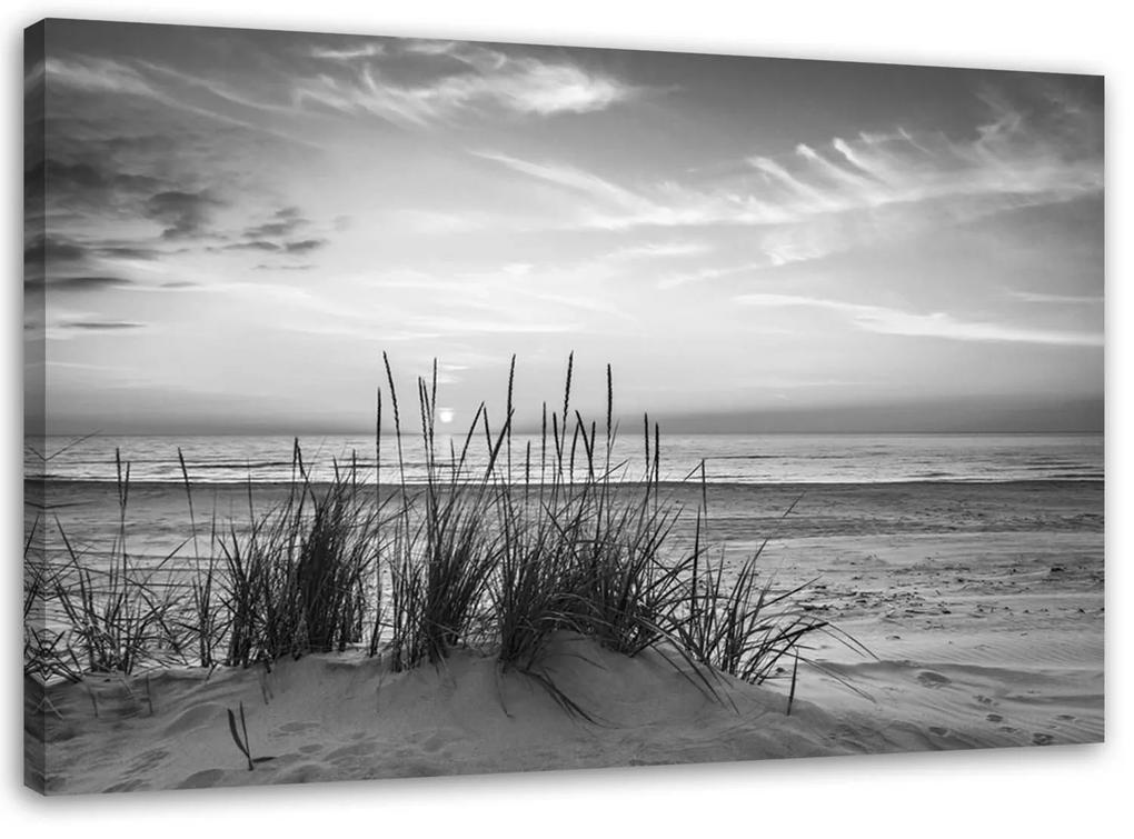 Gario Obraz na plátne Trávy na pláži - čiernobiely Rozmery: 60 x 40 cm