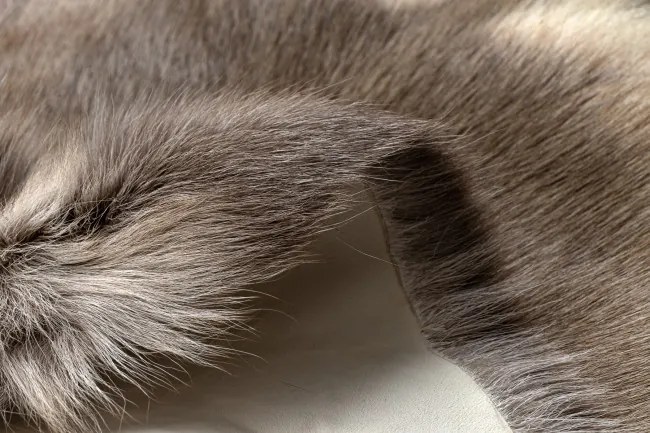 Koberec RENIFER POK012 sivý / béžový