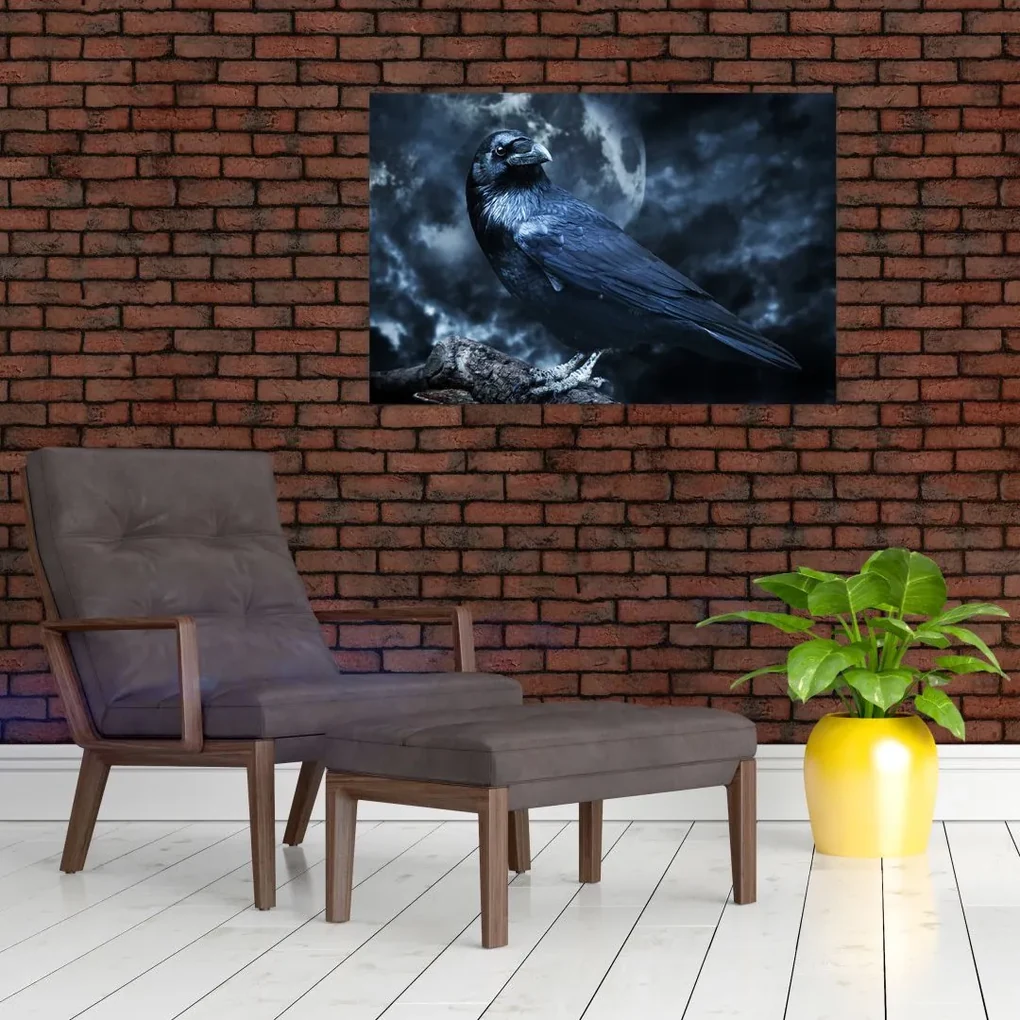 Obraz - Havran (90x60 cm)
