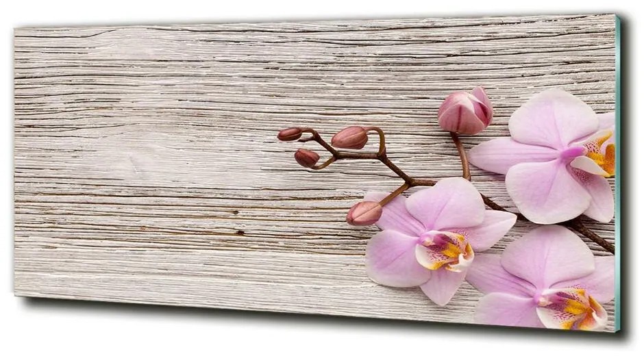 Moderné sklenený obraz z fotografie Orchidea a na strome cz-obglass-125x50-62495656