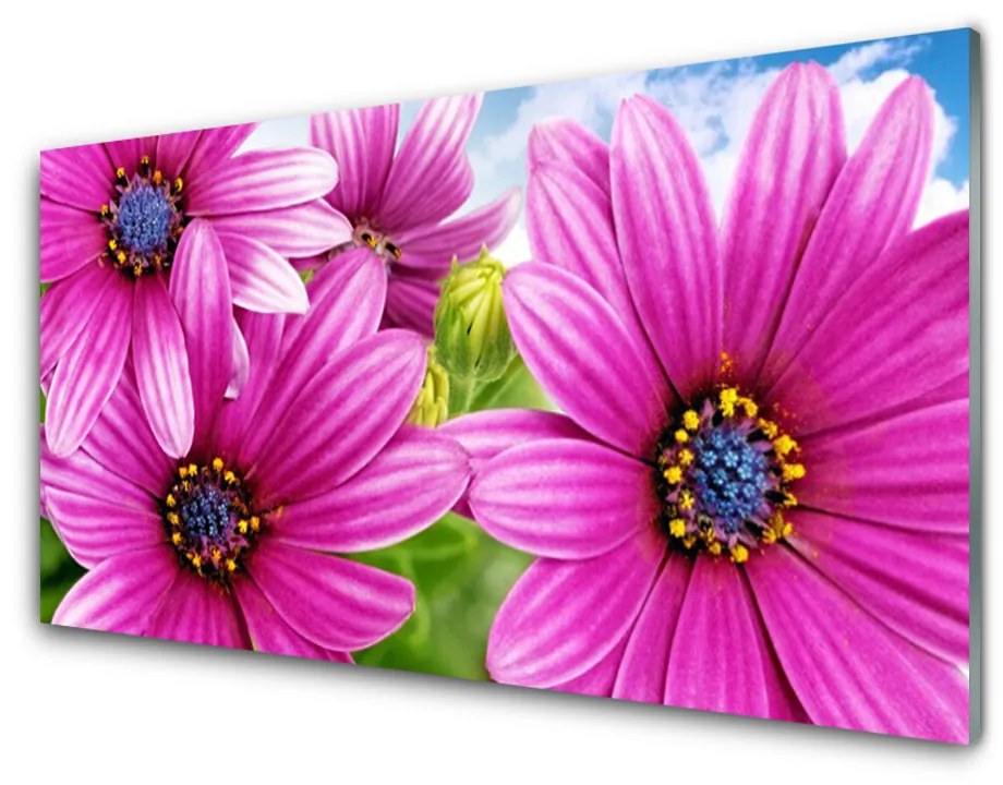 Nástenný panel  Kvety 140x70cm