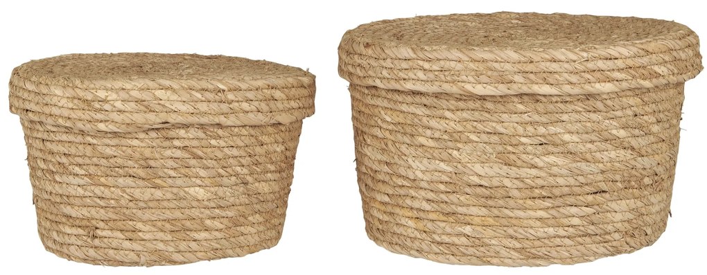 Ib Laursen Úložný kôš s vekom Natural Seagrass – sada 2 ks