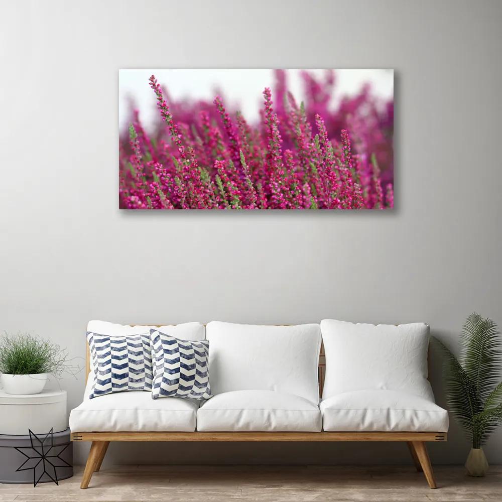 Obraz Canvas Kvety lúka príroda 120x60 cm
