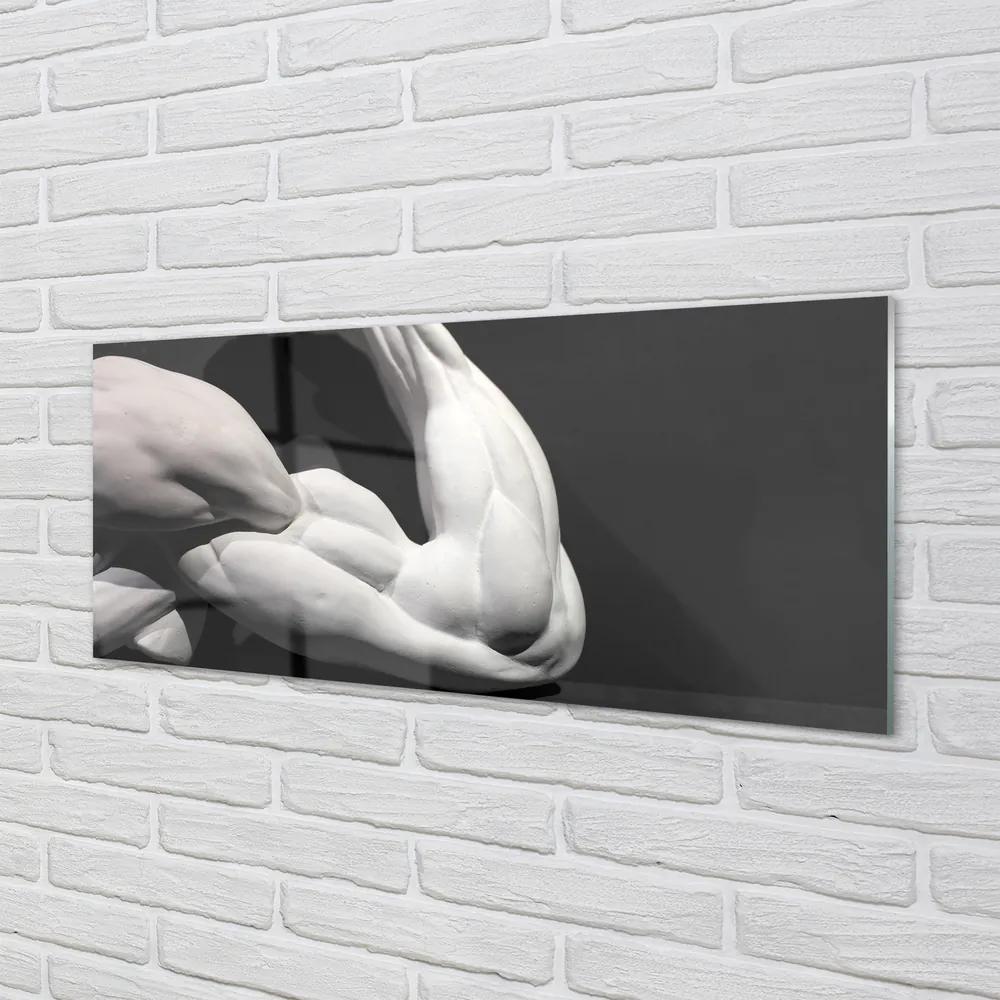 Obraz plexi Sval black and white 120x60 cm