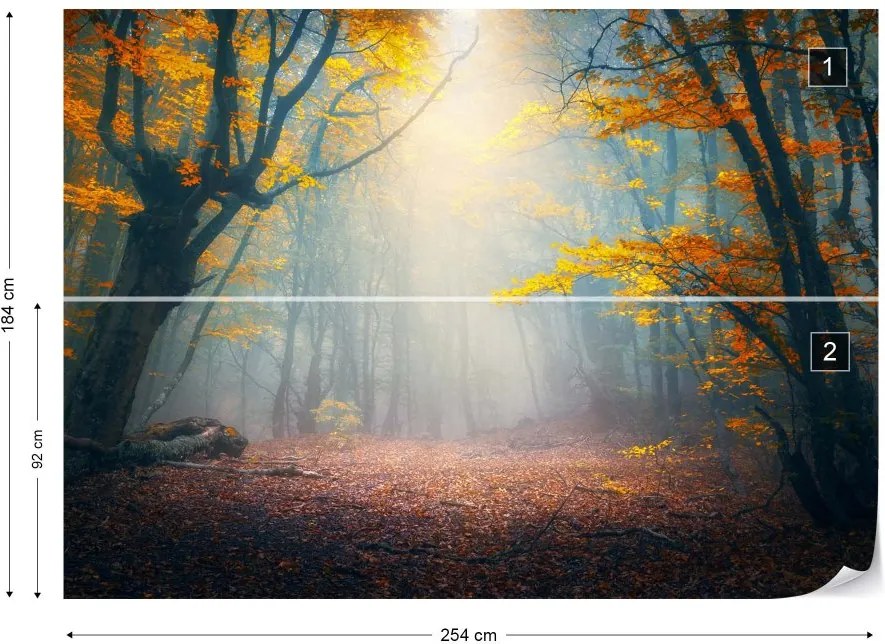 GLIX Fototapeta - The Enchanted Forest Vliesová tapeta  - 254x184 cm