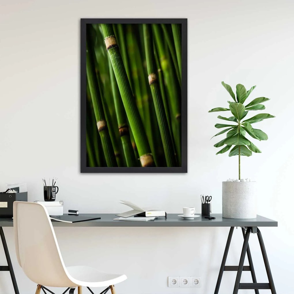 Gario Plagát Bambusový les Farba rámu: Bez rámu, Rozmery: 40 x 60 cm