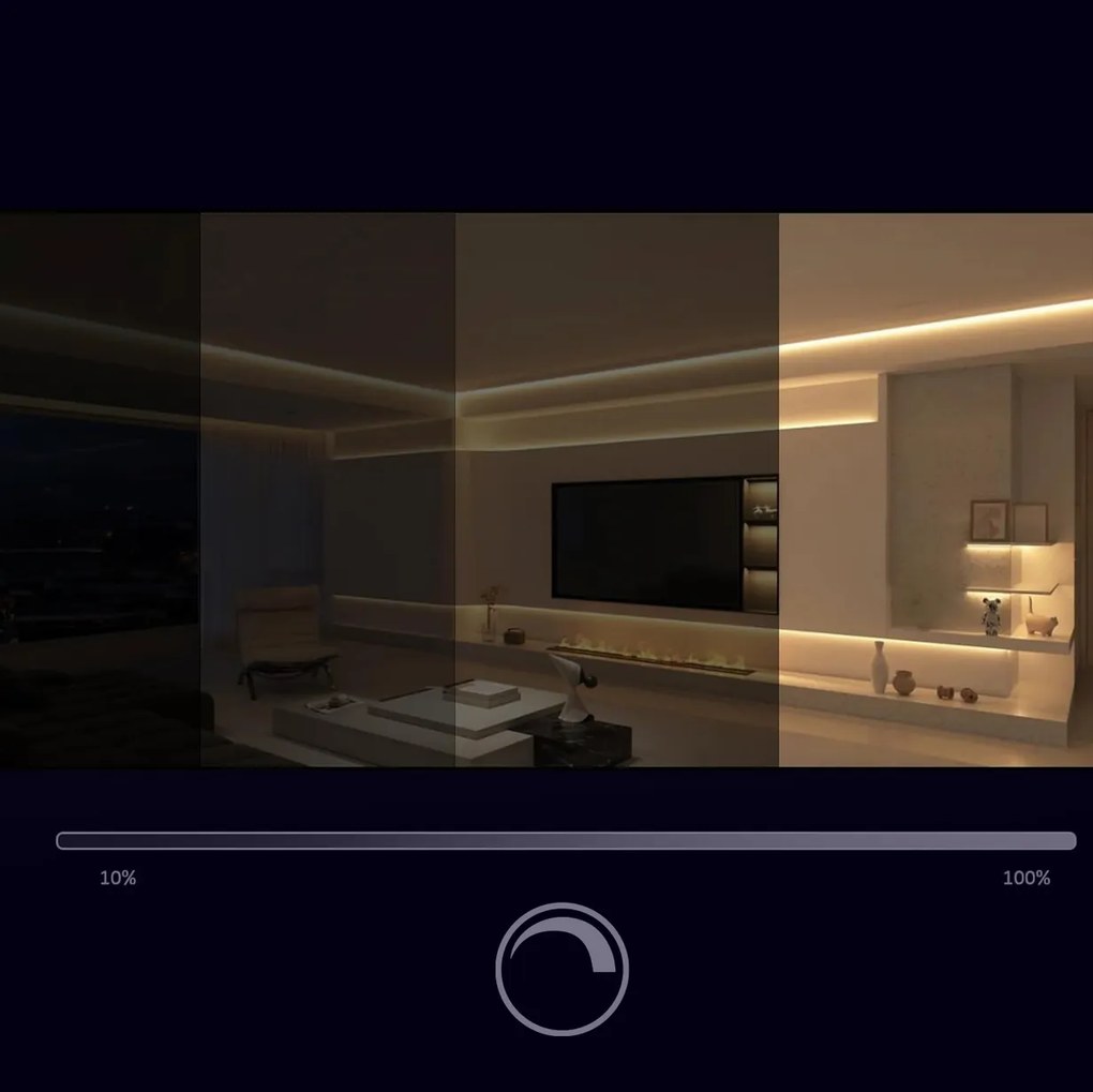 BERGE LED pásik COB Neon CCT 12V - 608D - 22W/m - IP20 - 1650lm - 1m