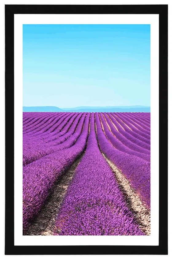 Plagát s paspartou nekonečné levanduľové pole - 30x45 silver