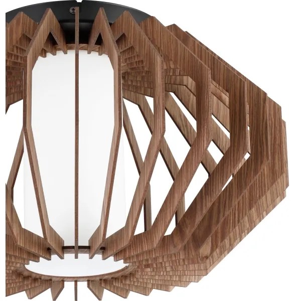 Eglo 900385 - Stropné svietidlo RUSTICARIA 1xE27/40W/230V