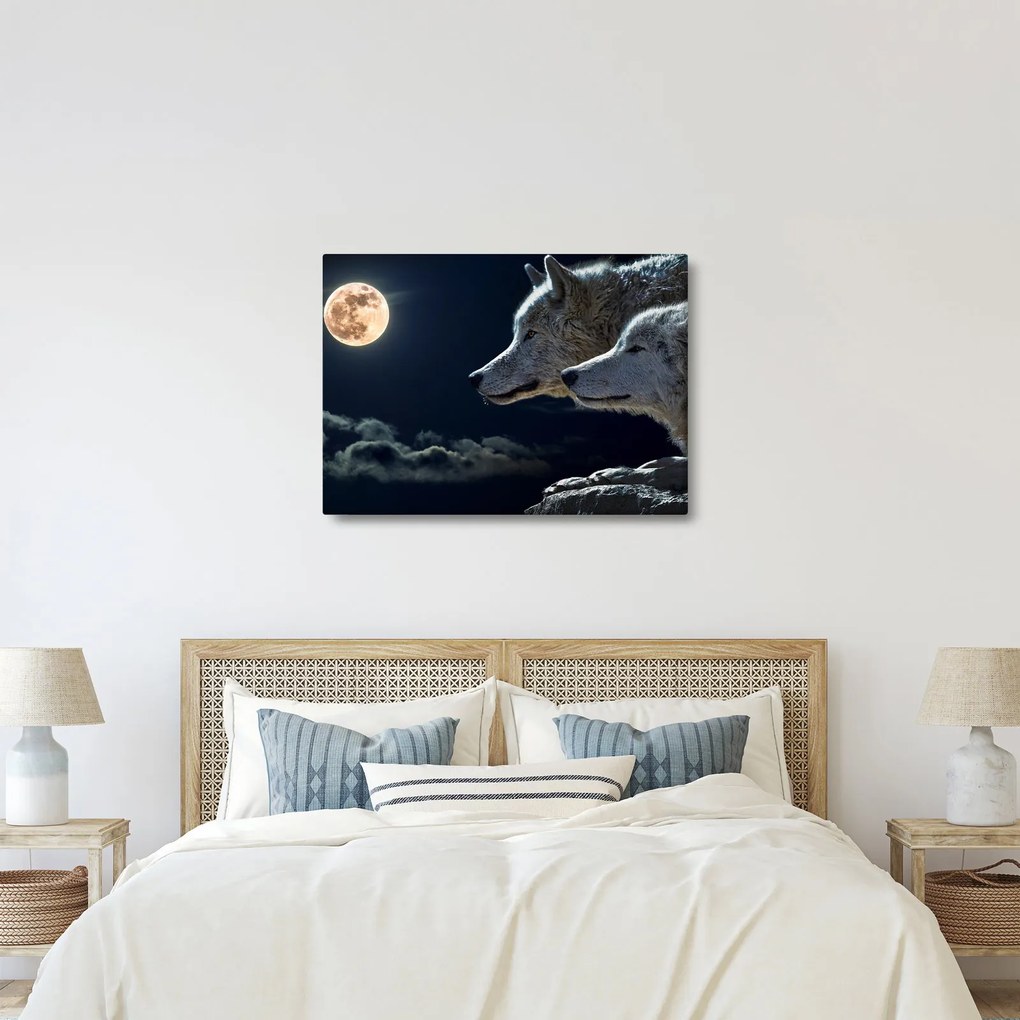 Obraz vlkov vyjúcich na mesiac (70x50 cm)