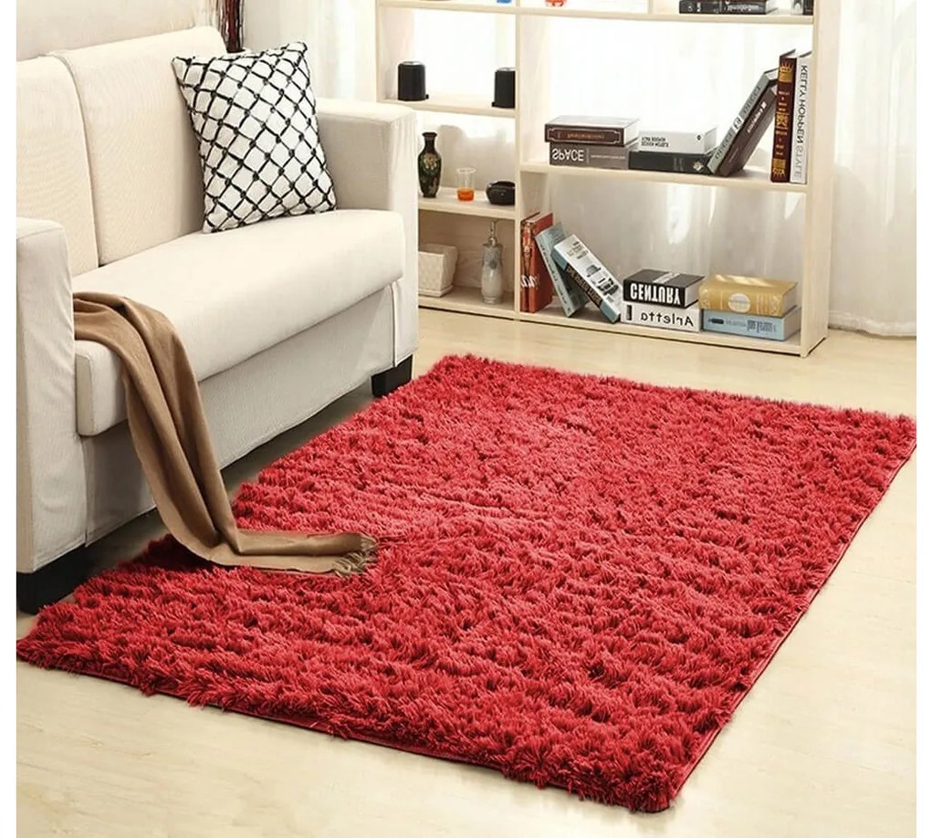 TZ Červený obdĺžnikový shaggy koberec Lana Rozmer: 60x90