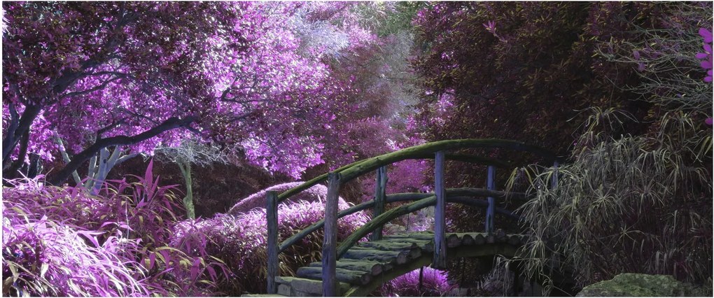 Obraz - fialové stromy (120x50 cm)