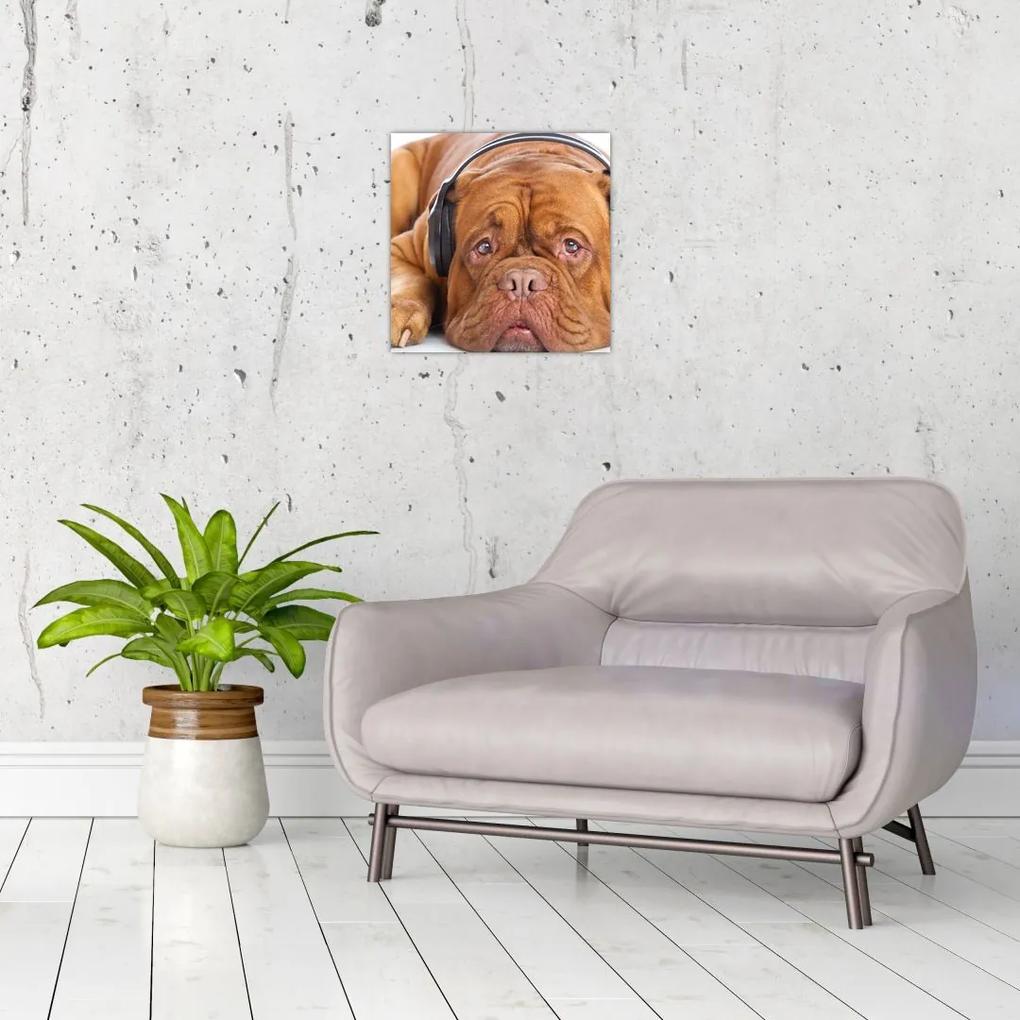 Moderný obraz - pes so slúchadlami