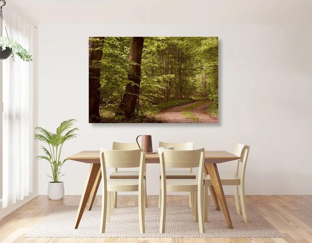 Obraz zelený les - 90x60