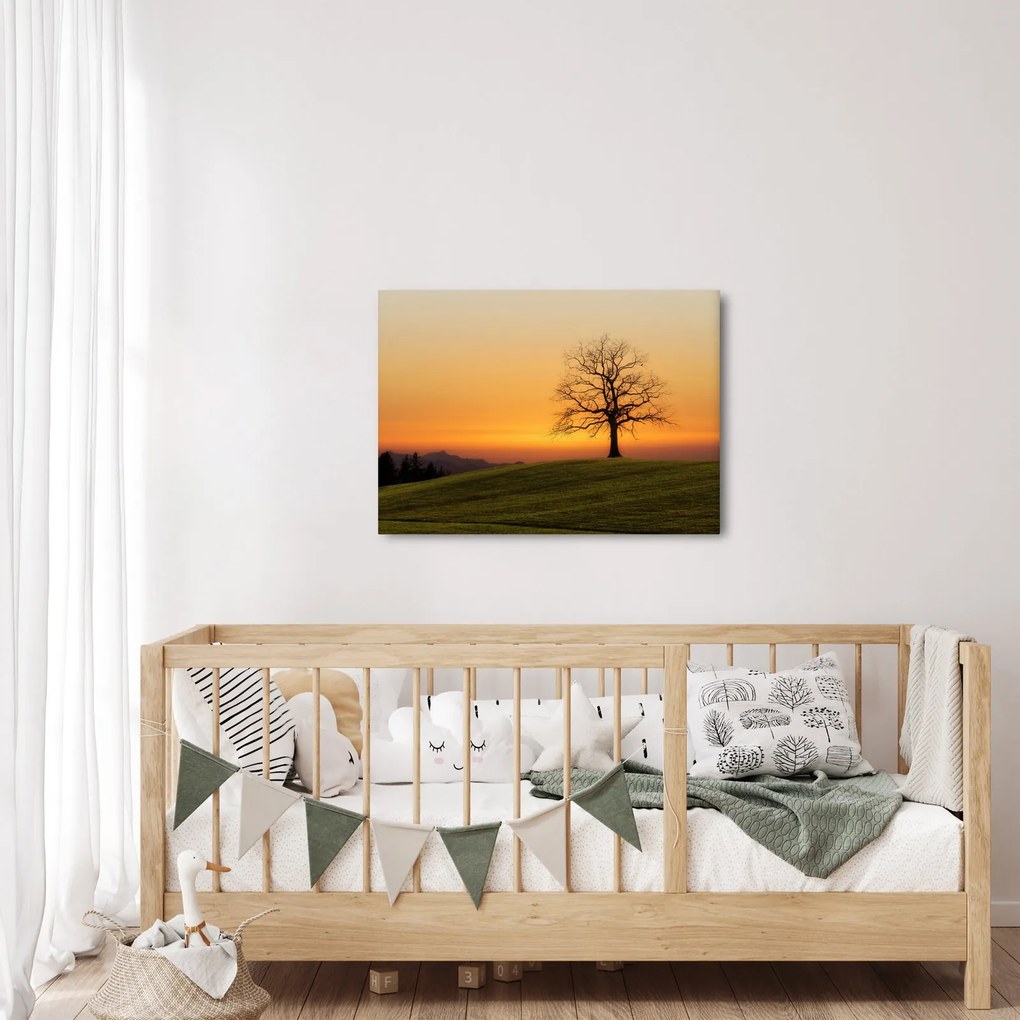 Obraz západu slnka na lúke (70x50 cm)