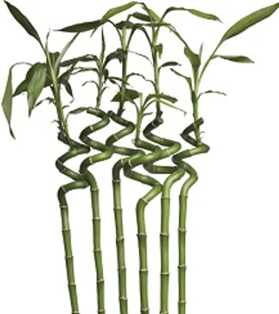 2G Lipov Chránič matraca Bamboo z prírodných vlákien - 90x220 cm