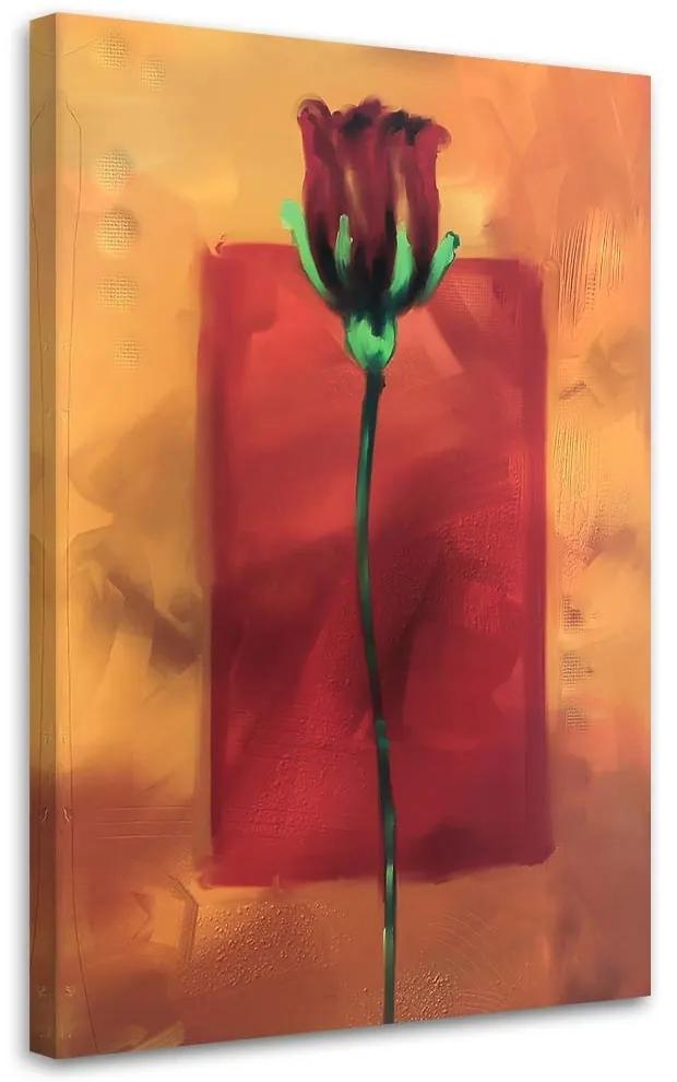 Obraz na plátně Rose Flower Červená příroda - 80x120 cm