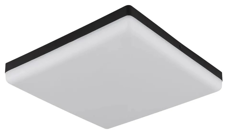 Globo 12388-24 - LED Stropné svietidlo MATTHEW LED/18W/230V GL7434