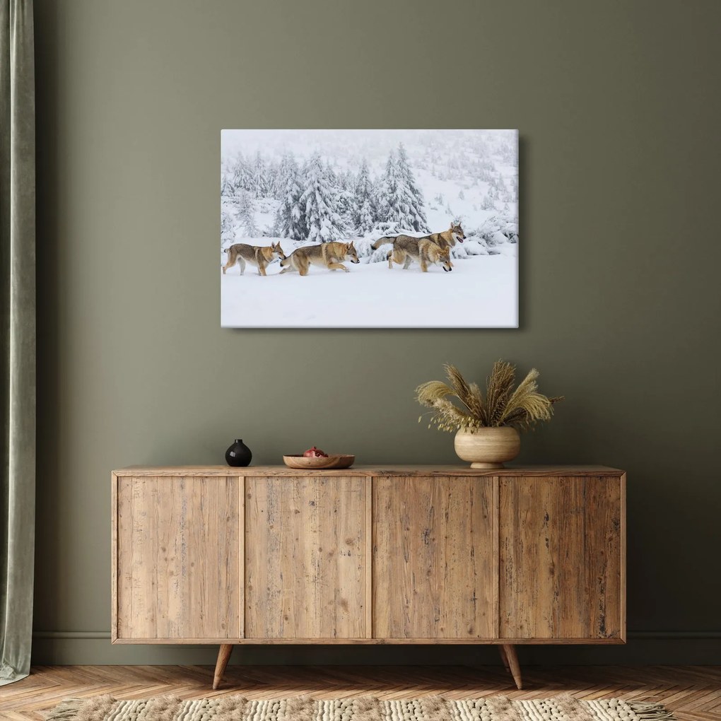 Obraz - Vlci v horách (90x60 cm)