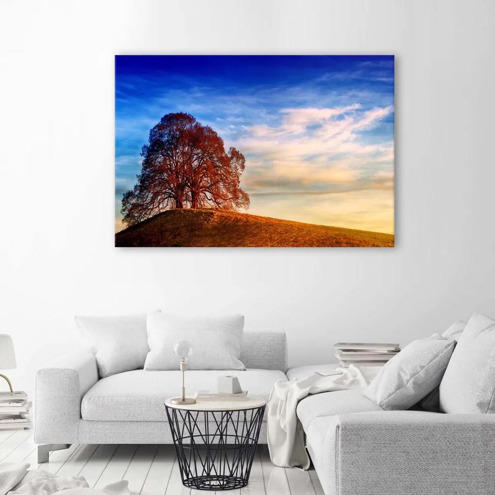 Obraz na plátně Strom na kopci Příroda - 120x80 cm
