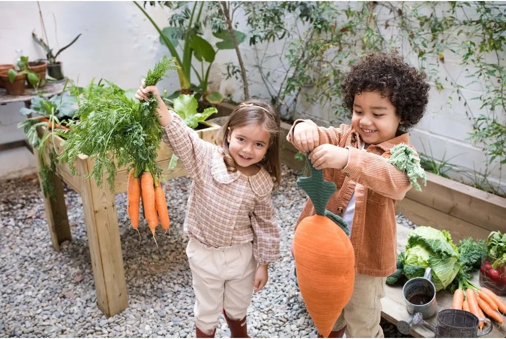 Detský vankúšik Cathy the Carrot – Lorena Canals