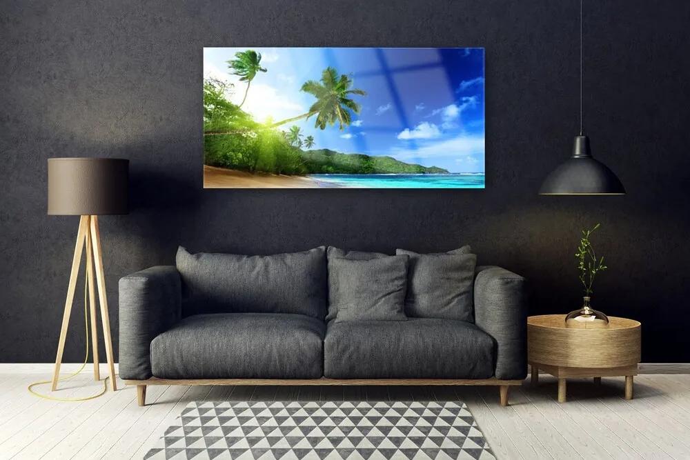 Obraz plexi Pláž more palma krajina 120x60 cm