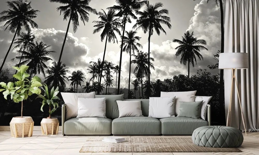 Samolepiaca tapeta kokosové palmy na pláži v čiernobielom - 225x150