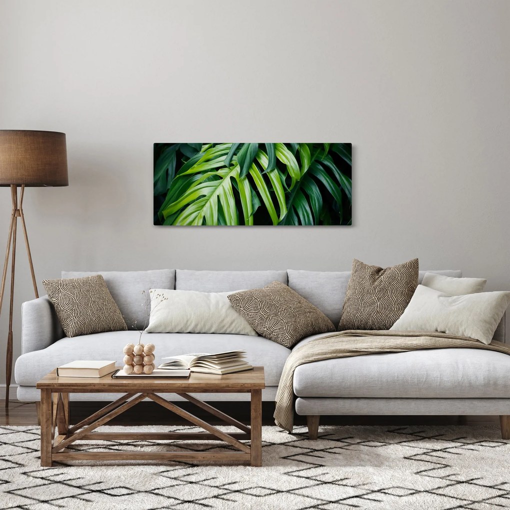 Obraz - Tropické listy (120x50 cm)