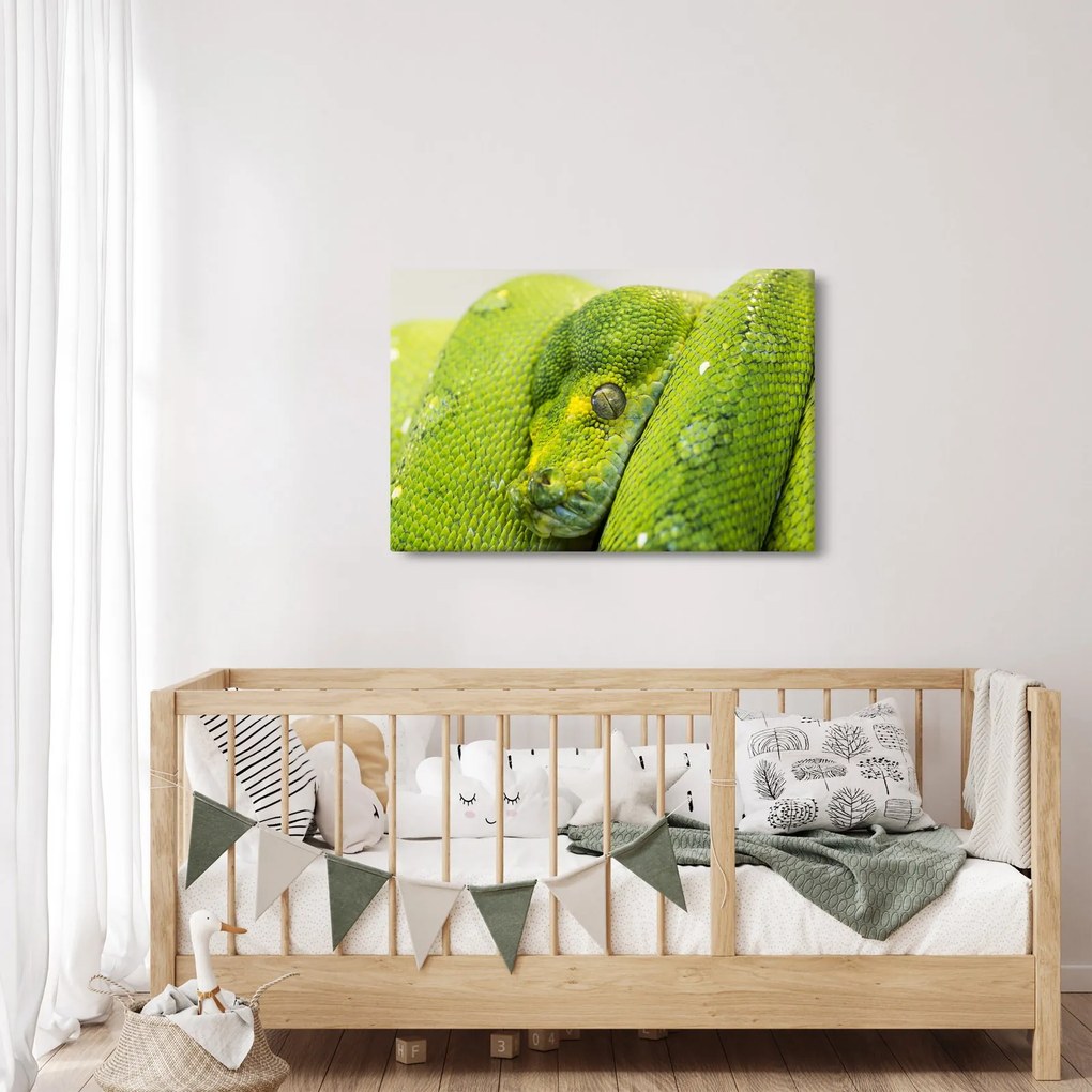 Obraz hada (90x60 cm)