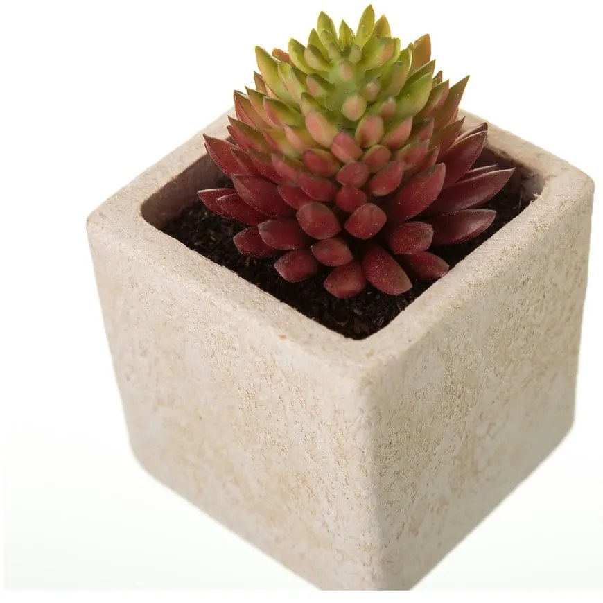 Umelé rastliny v súprave 6 ks (výška 9,5 cm) Cactus – Casa Selección