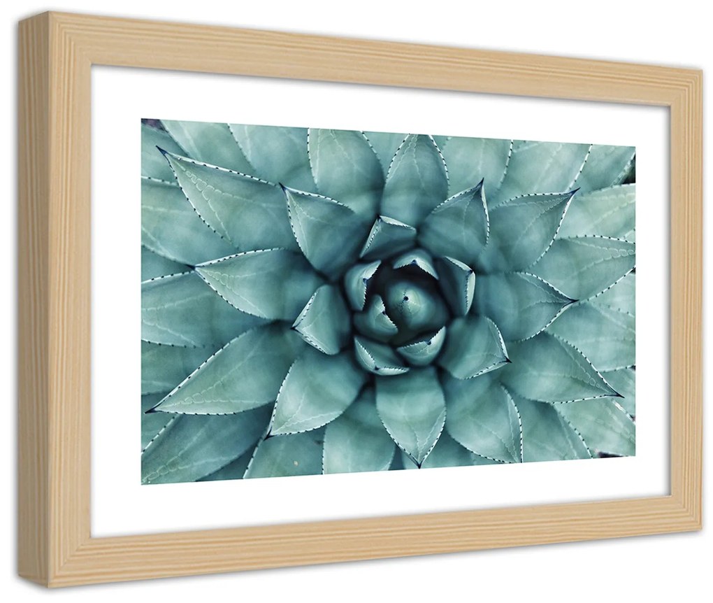 Gario Plagát Modré listy agáve Farba rámu: Bez rámu, Rozmery: 60 x 40 cm
