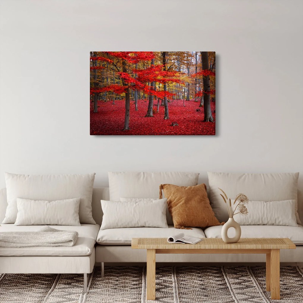 Obraz - Červený les (90x60 cm)