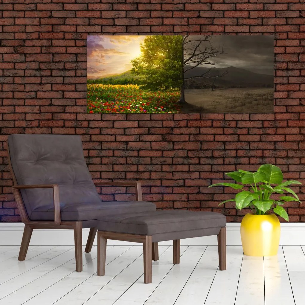 Obraz - Kolobeh života (120x50 cm)