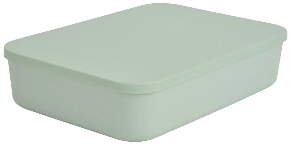 Svetlozelený plastový úložný box s vekom 35,5x25,5x8 cm – Homéa
