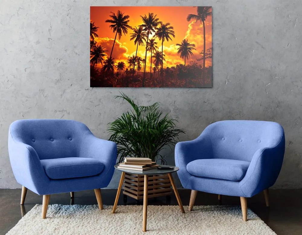 Obraz kokosové palmy na pláži Varianta: 120x80