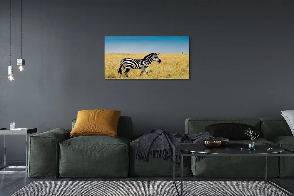 Obraz na plátne Zebra box 140x70 cm