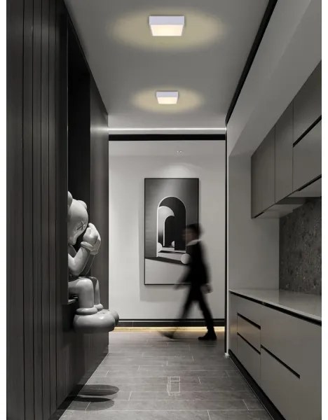 Immax NEO 07238L - LED Stmievateľné stropné svietidlo CANTO 22W/230V biela Tuya +DO